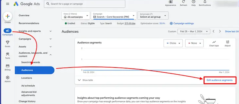 Edit audience segment and Define Customers with Google Ads